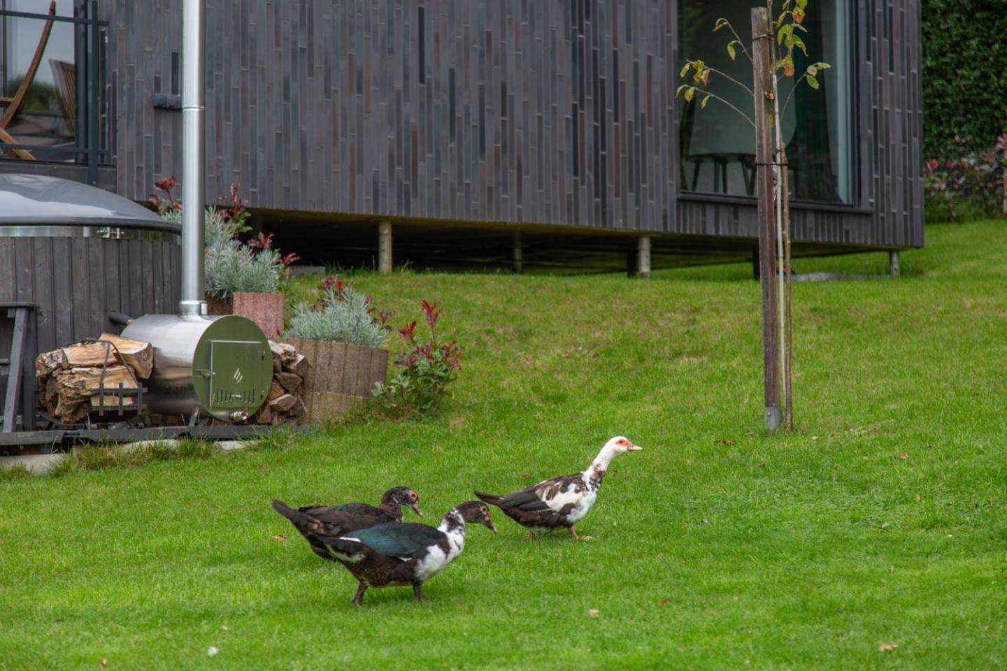 Meerbeek Unwind Kortenberg Esterno foto